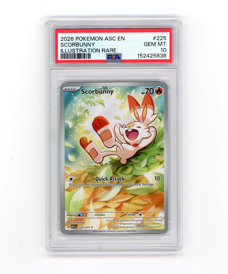 PSA 10 Gem Mint Scorbunny 225/217 Illustration Rare Ascended Heroes
