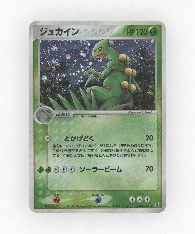 Sceptile - ADV Expansion Pack 003/055 (Unlimited Holo)
