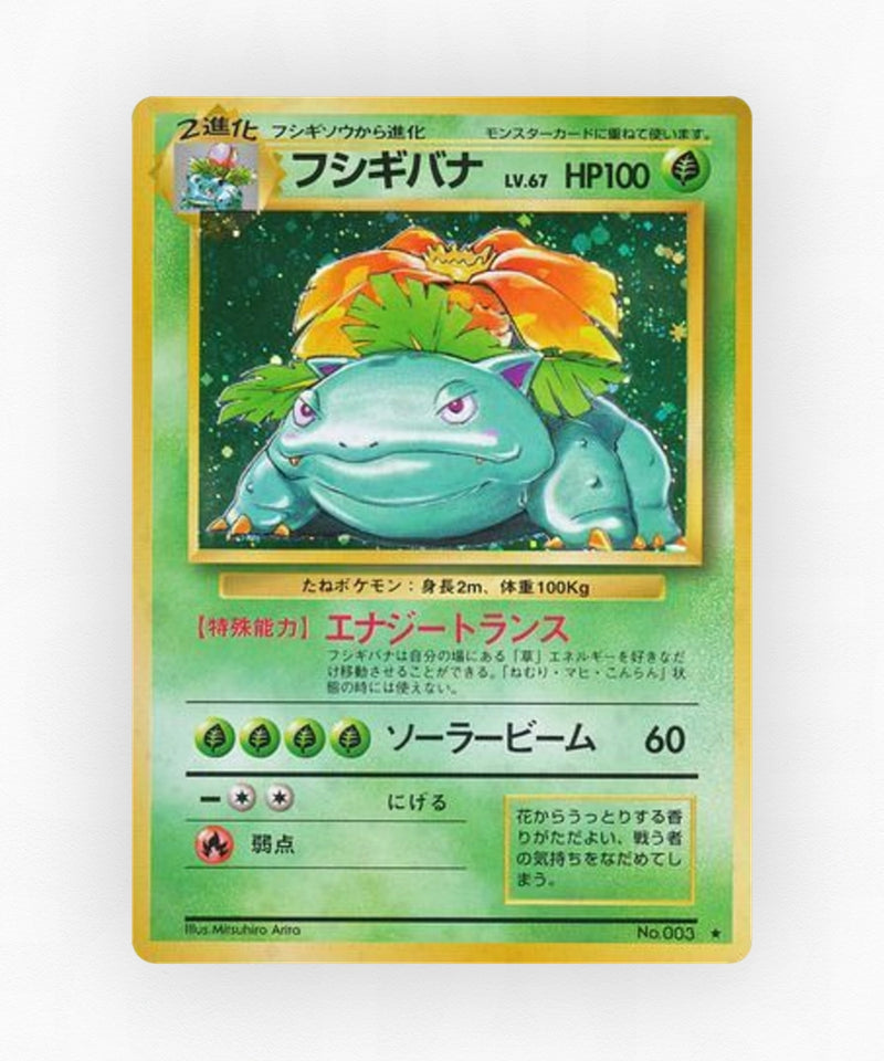 pk-base1_ja-11-holo