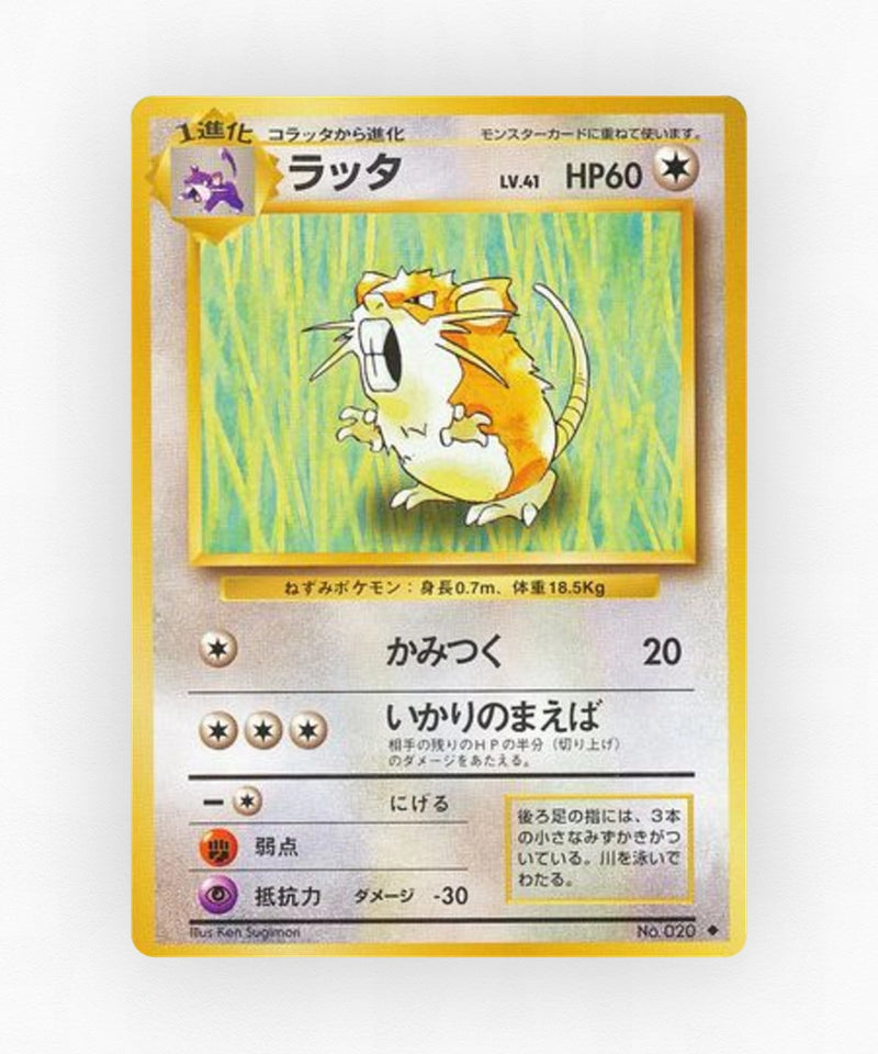 Raticate - Expansion Pack No.020 (Non-Holo)