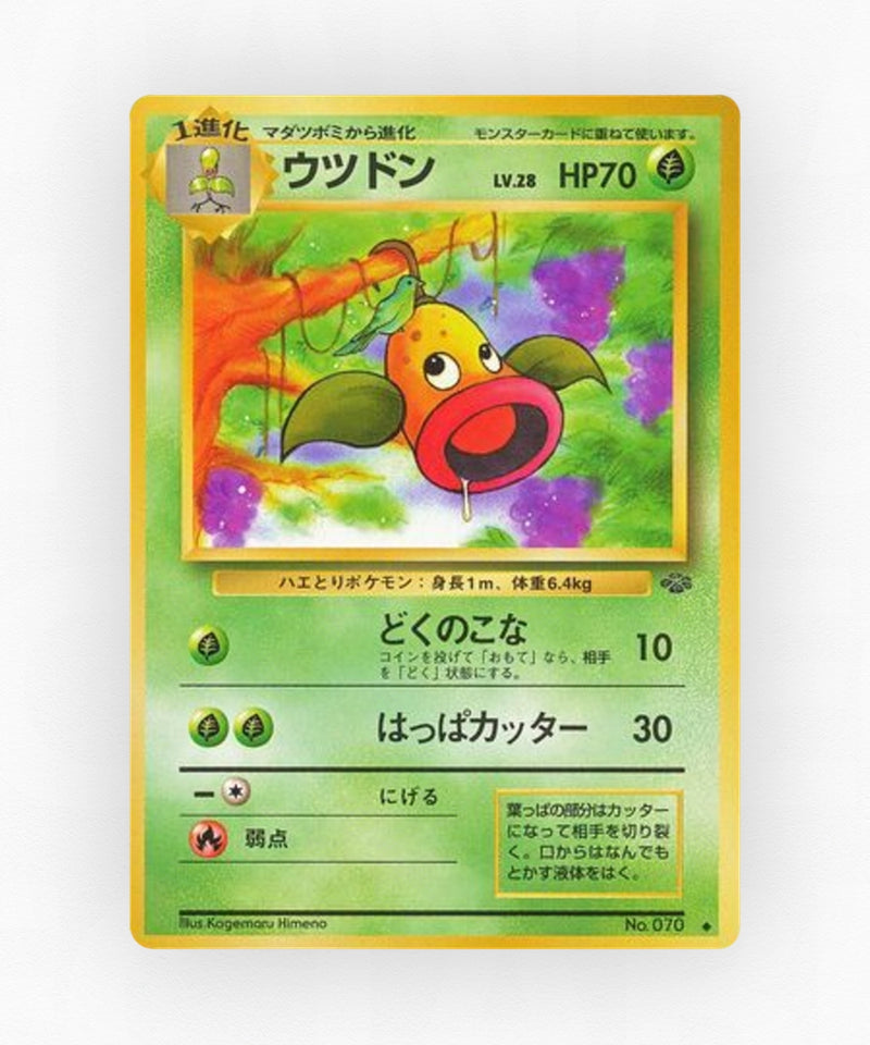 pk-base2_ja-11-non-holo