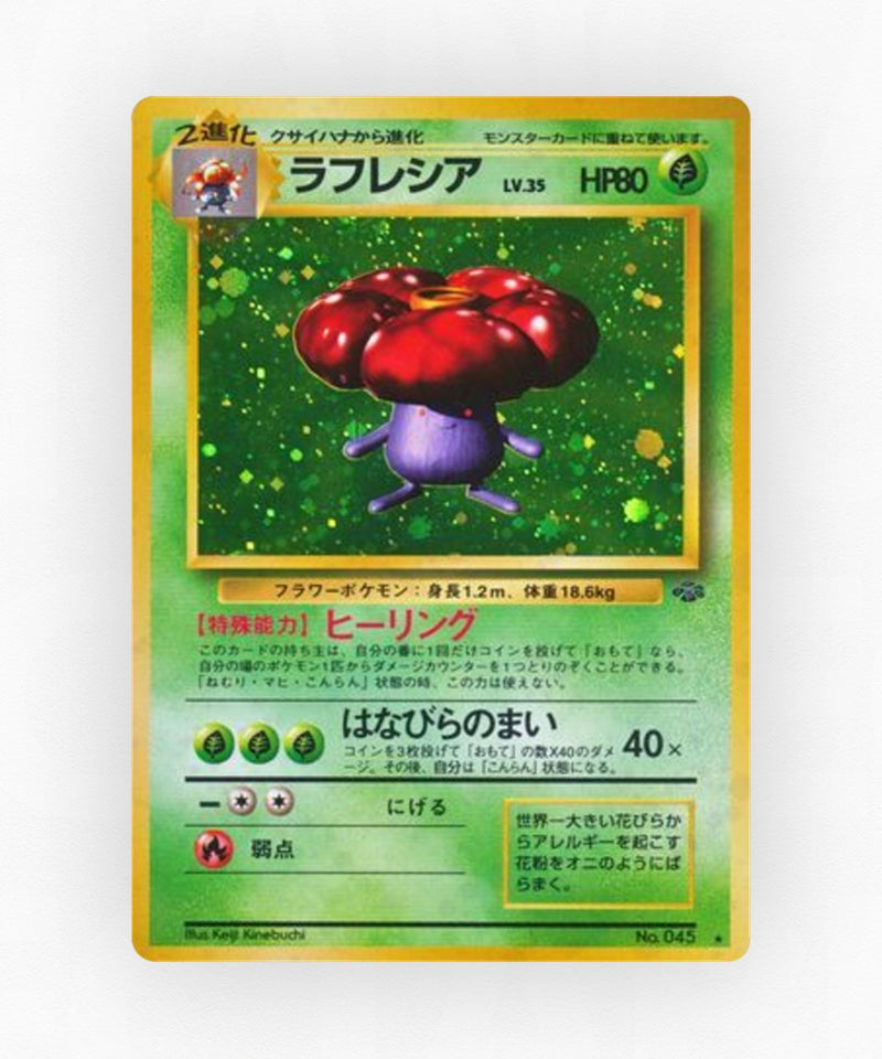 pk-base2_ja-14-holo