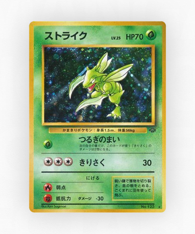 pk-base2_ja-17-holo