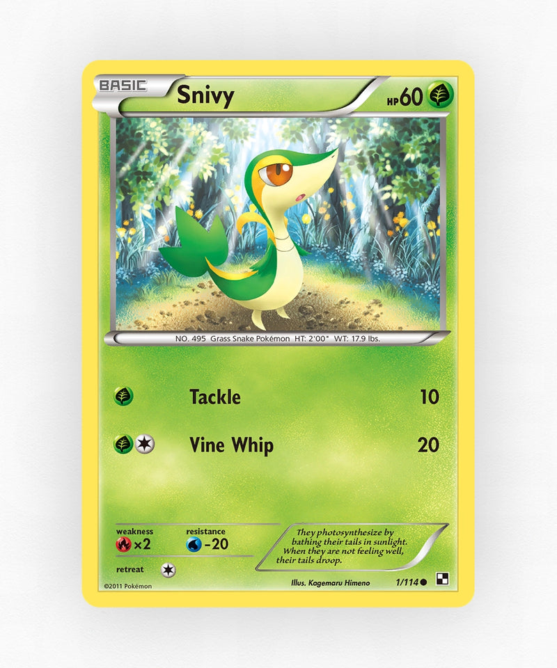 pk-bw1-1-reverse-holo