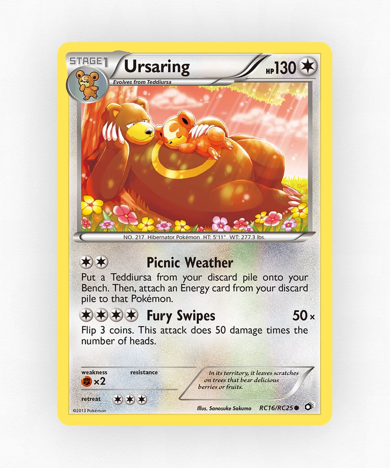 pk-bw11-rc16-holo