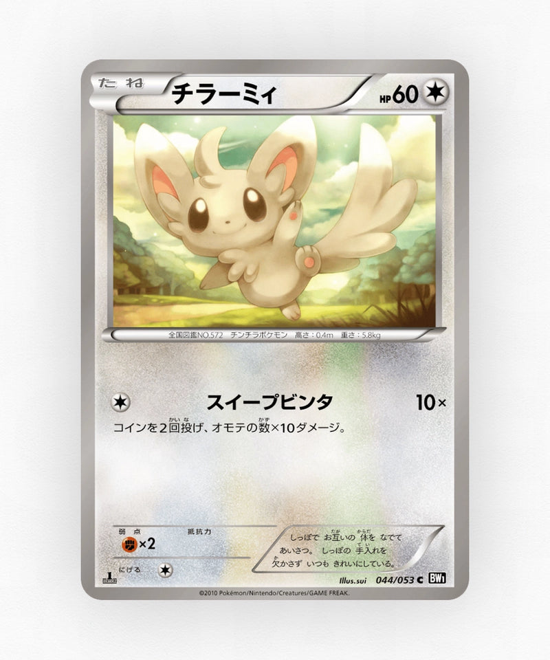 Minccino - Black Collection 044/053 (Unlimited Non-Holo)