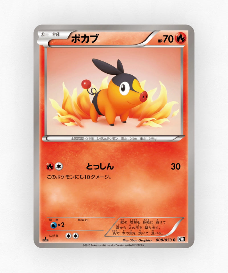 Tepig - Black Collection 008/053 (Unlimited Non-Holo)
