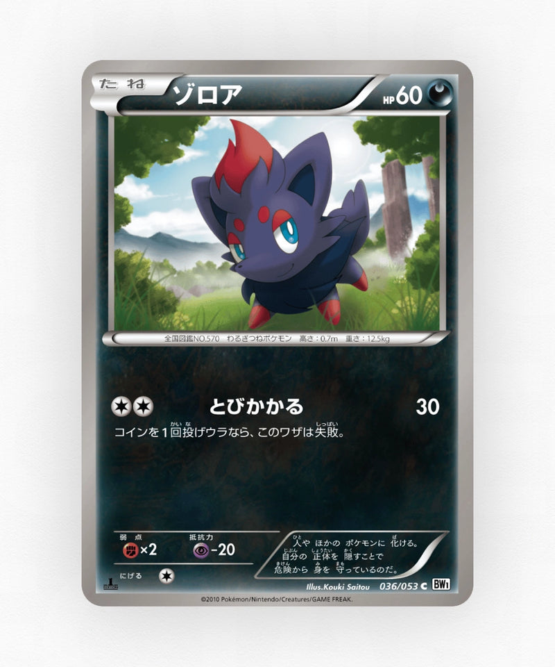Zorua - White Collection 036/053 (Unlimited Non-Holo)