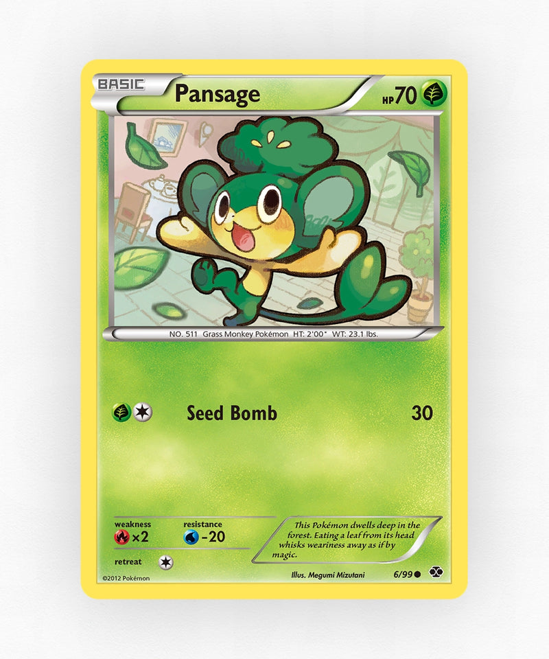 pk-bw4-6-non-holo