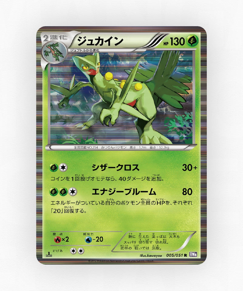 pk-bw8s_ja-5-1e-holo