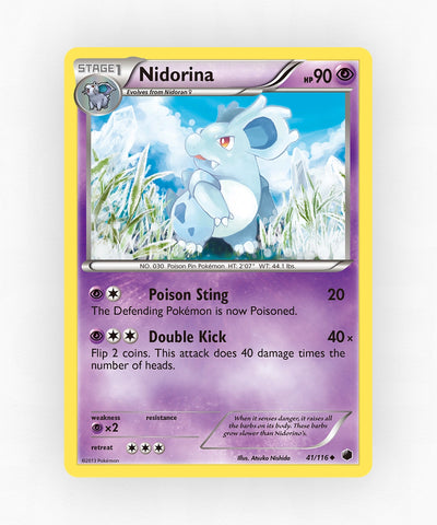 pk-bw9-41-reverse-holo