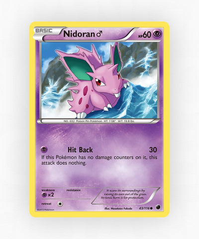 pk-bw9-43-reverse-holo