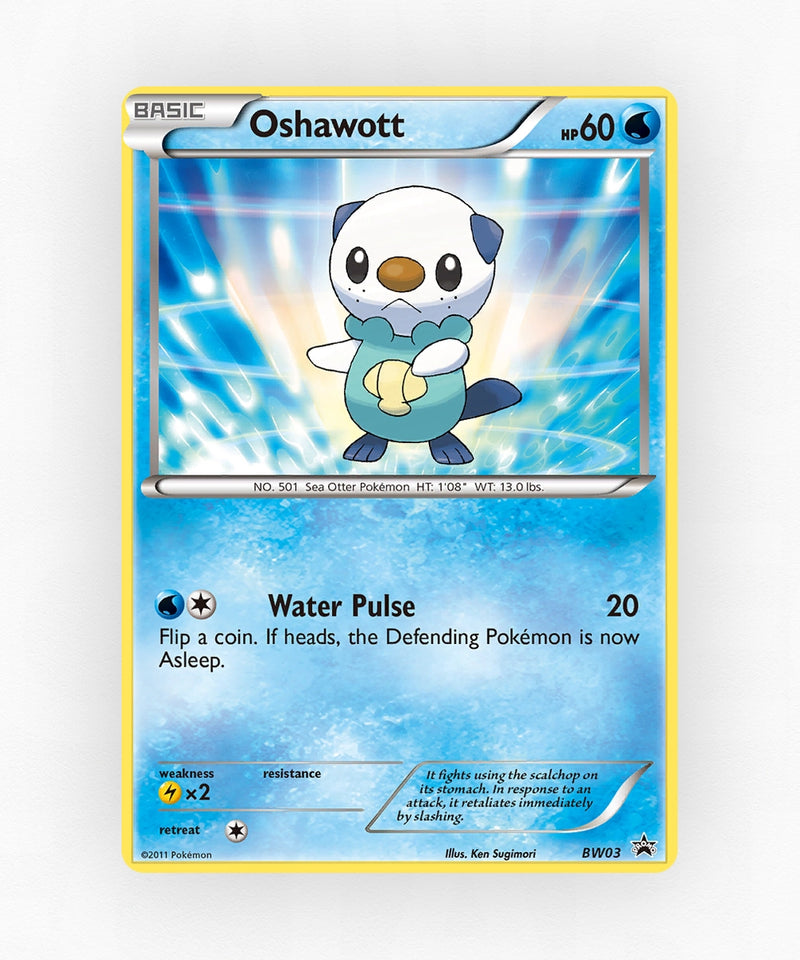 pk-bwp-bw03-holo