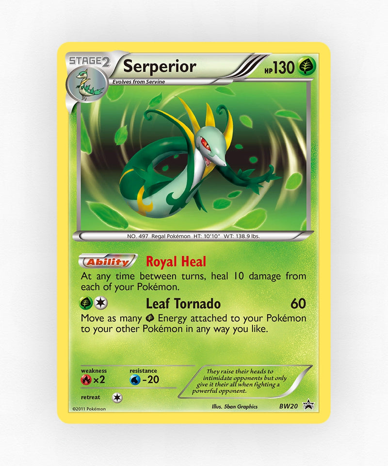 pk-bwp-bw20-holo