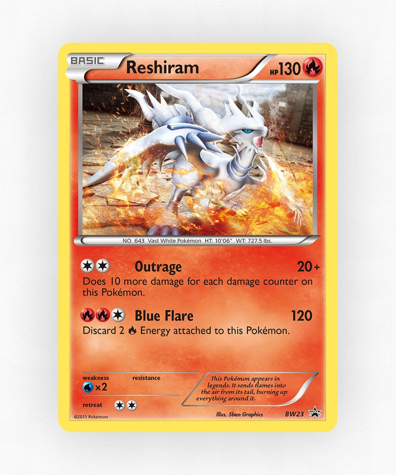 pk-bwp-bw23-holo
