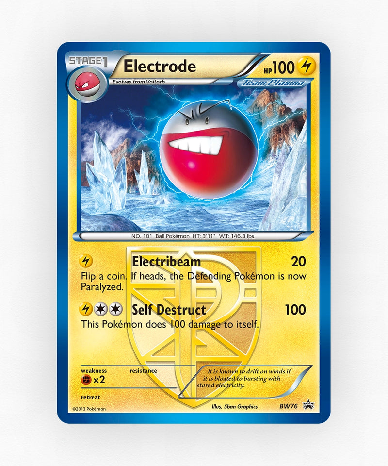 pk-bwp-bw76-holo