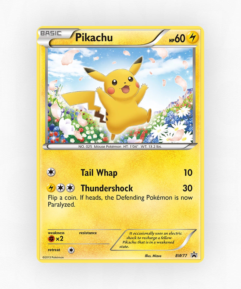 pk-bwp-bw77-holo
