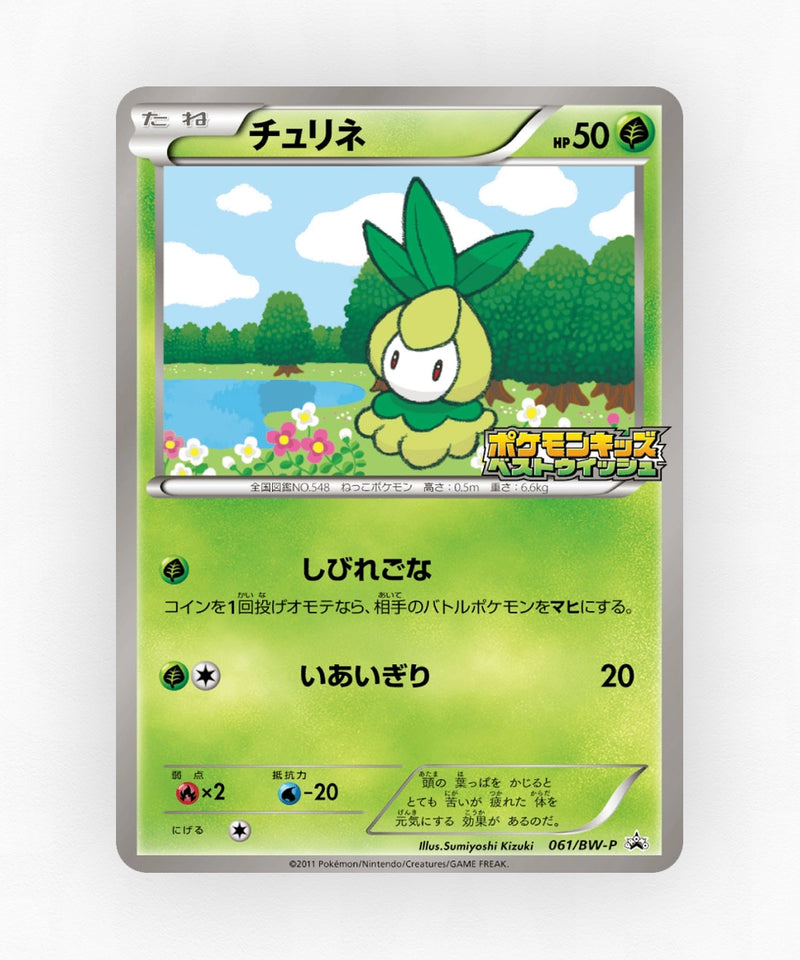 pk-bwp_ja-61-non-holo
