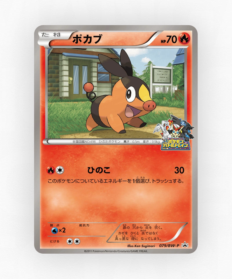 pk-bwp_ja-79-non-holo