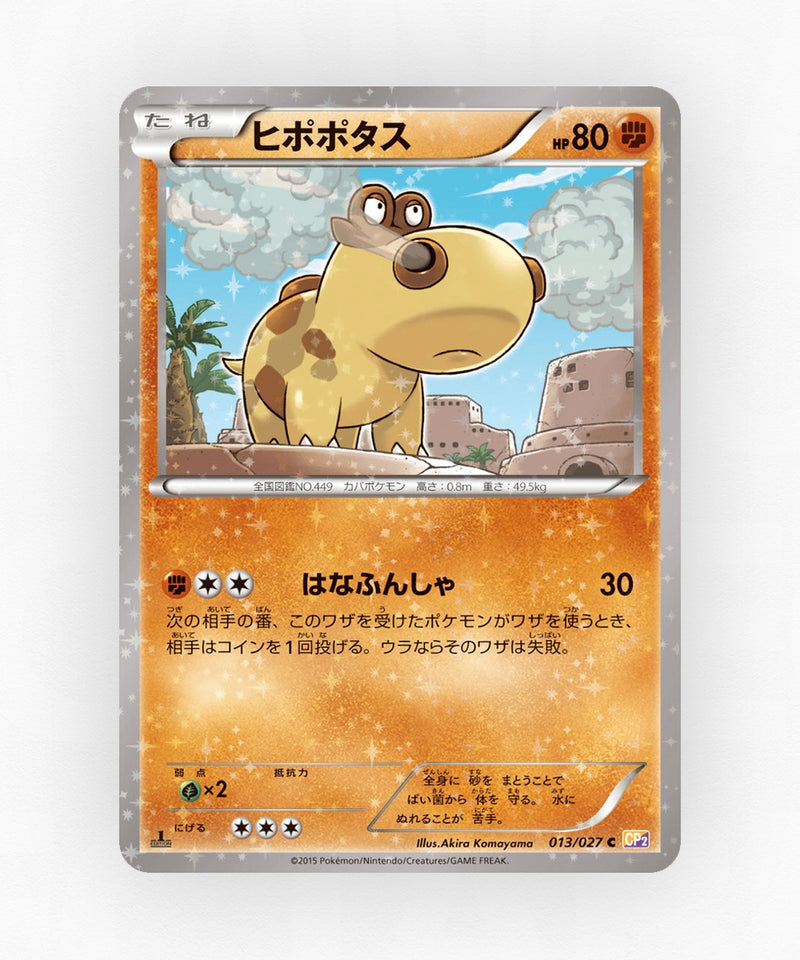 pk-cp2_ja-13-1e-holo