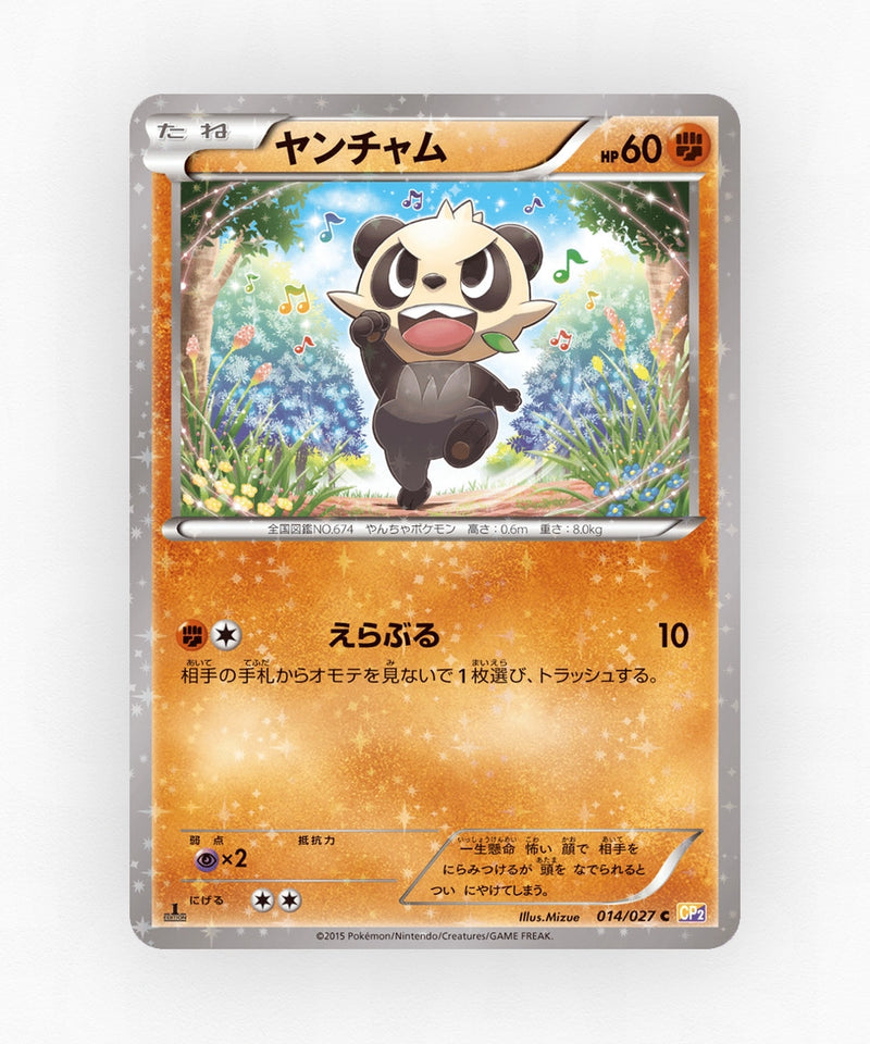 pk-cp2_ja-14-1e-holo