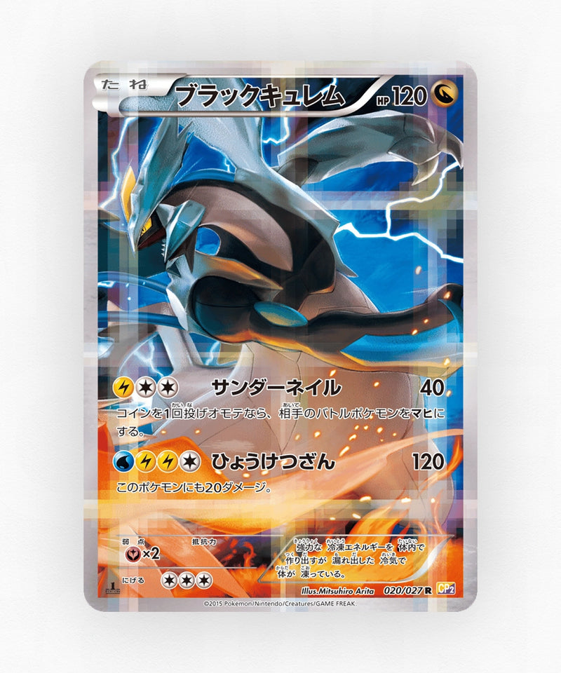 pk-cp2_ja-20-1e-holo