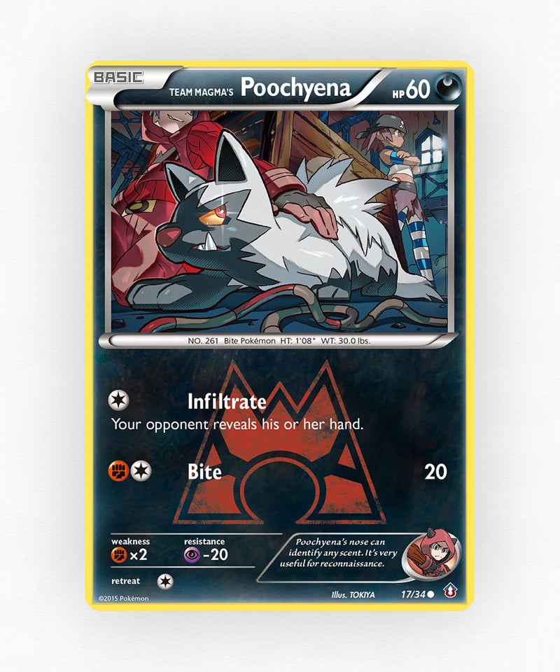 pk-dc1-17-reverse-holo
