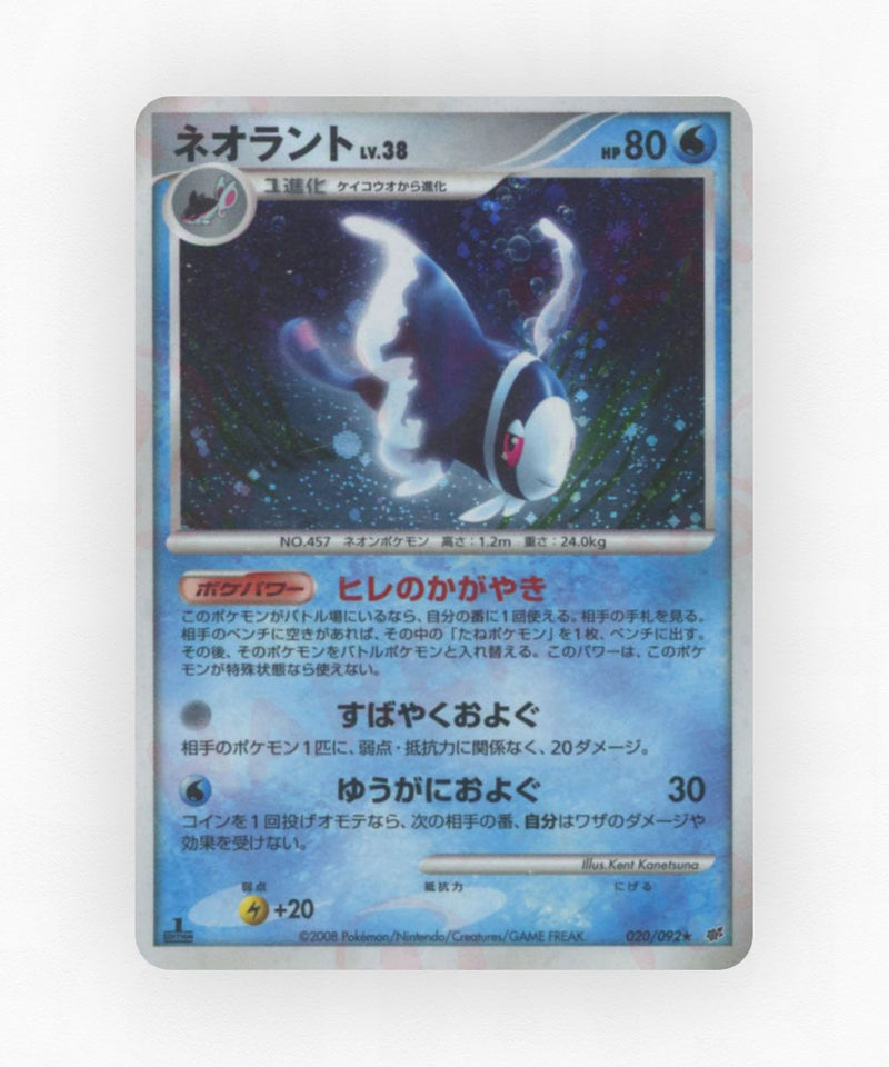 pk-dp6_ja-20-1e-holo