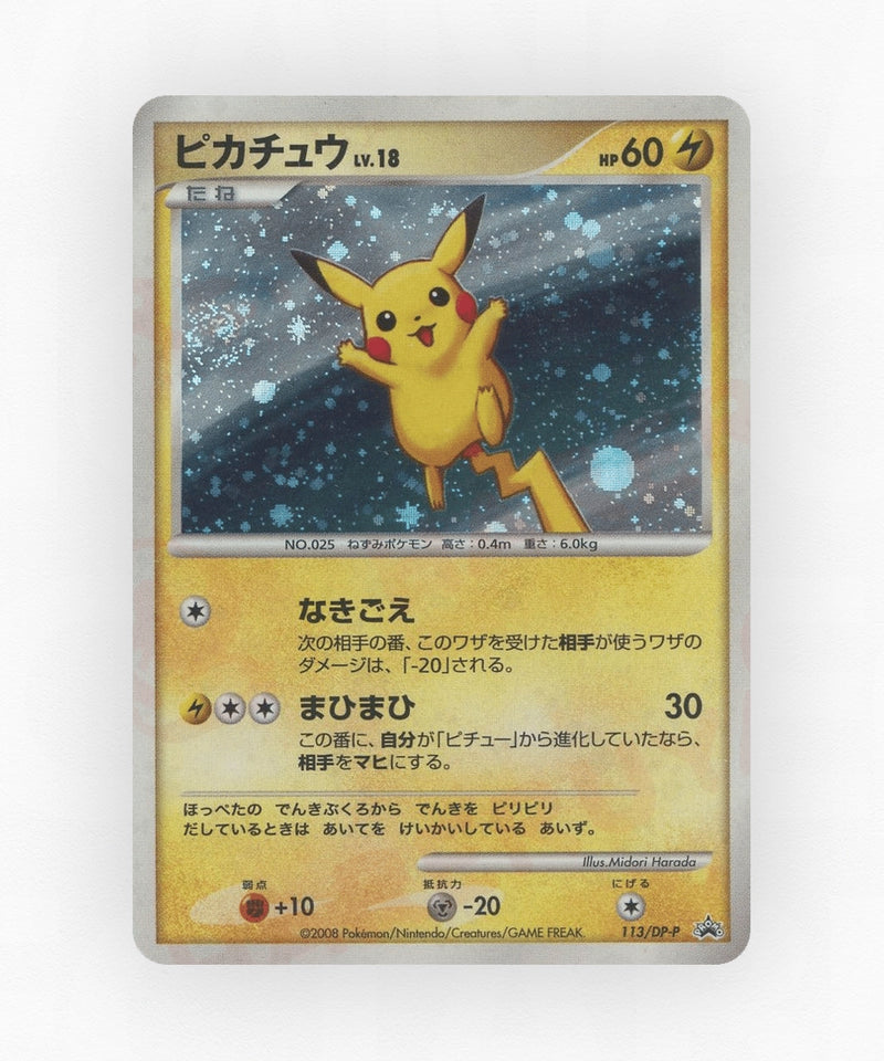 pk-dpp_ja-113-non-holo