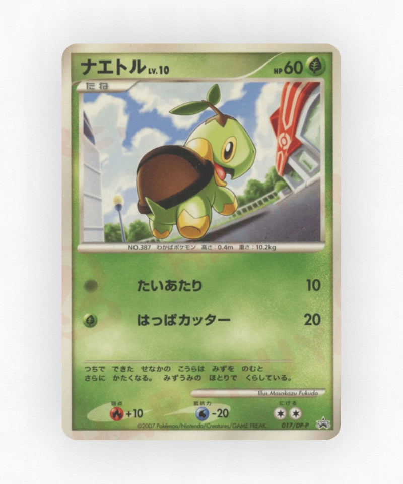 pk-dpp_ja-17-non-holo