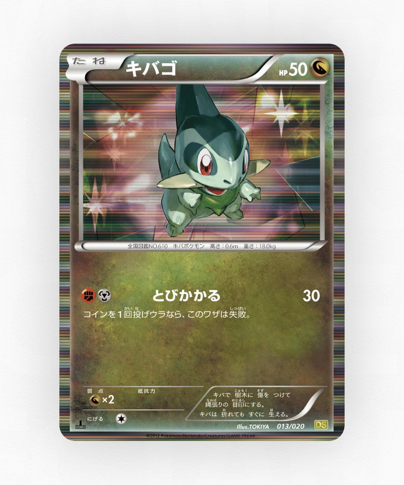 pk-ds1_ja-13-1e-holo