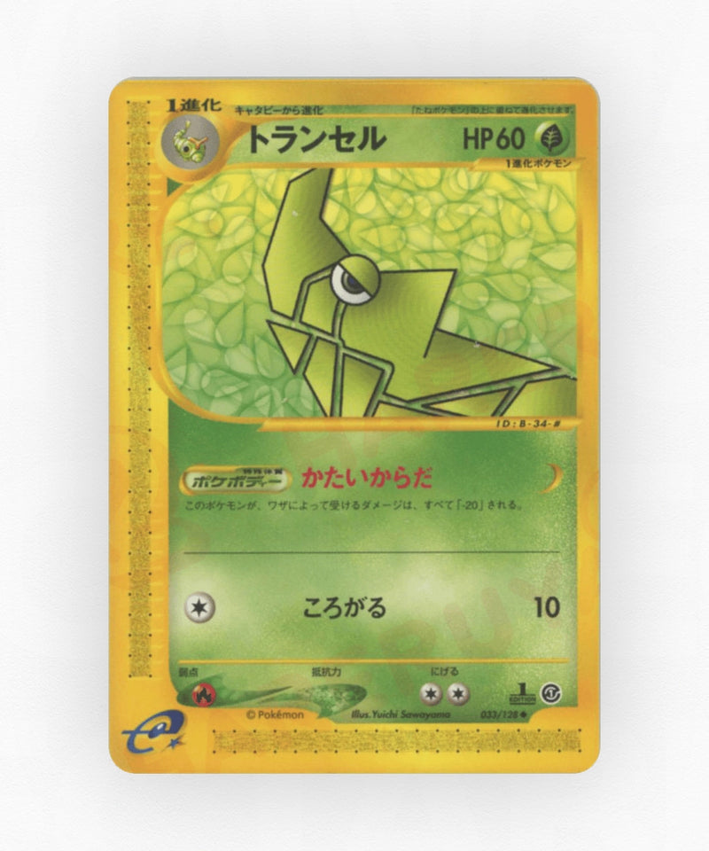 Metapod - Base Expansion Pack 033/128 (1st Edition Non-Holo)