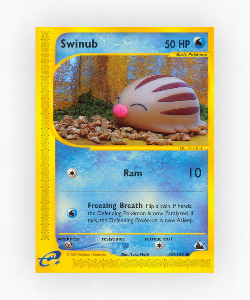 Swinub - Skyridge 107/144 (Non-Holo)