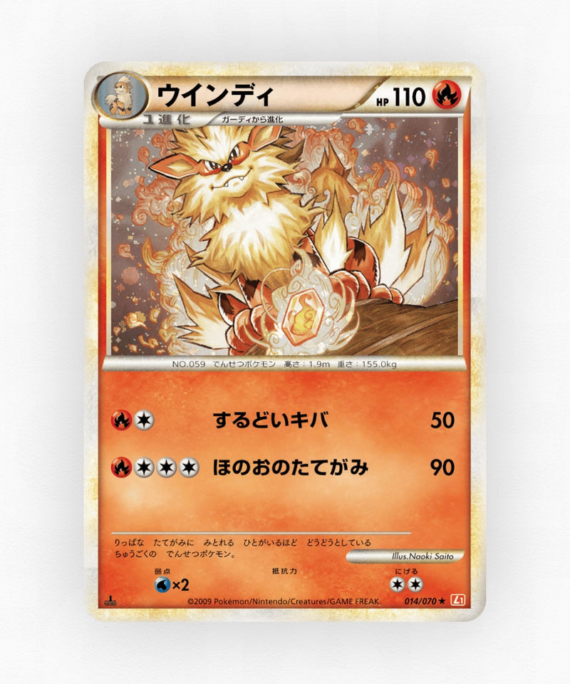 pk-l1hg_ja-14-1e-holo