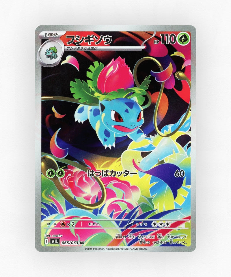 pk-m1l_ja-65-holo