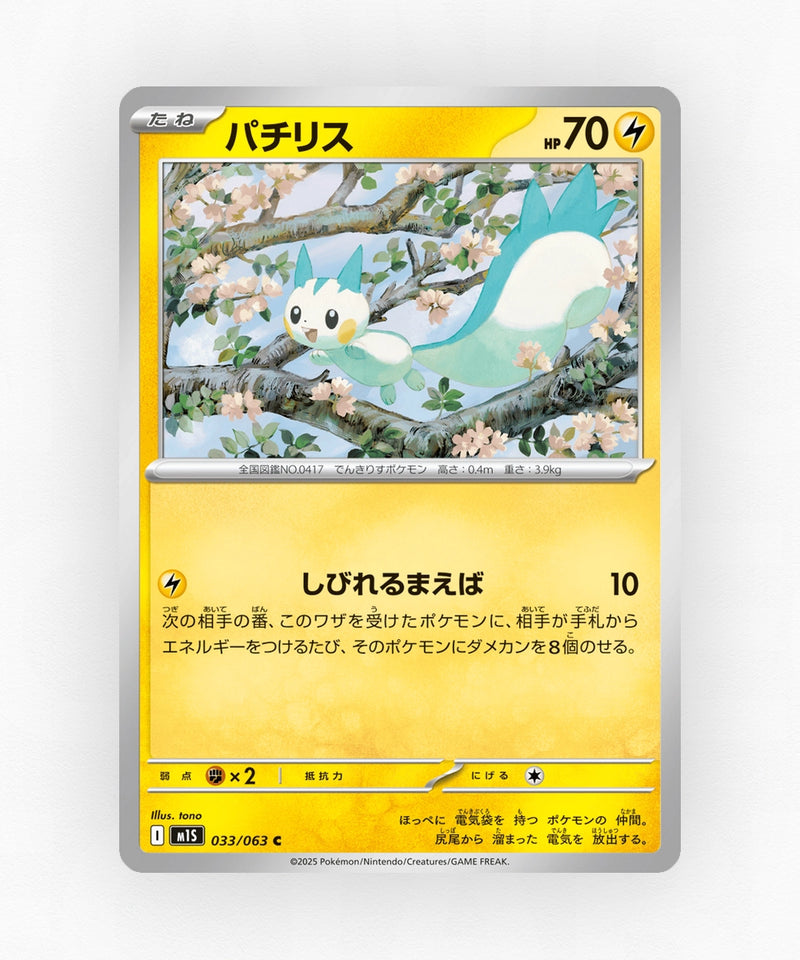 Pachirisu - Mega Symphonia 033/063 (Non-Holo)