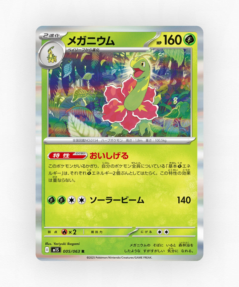 Meganium - Mega Symphonia 005/063 (Holo)