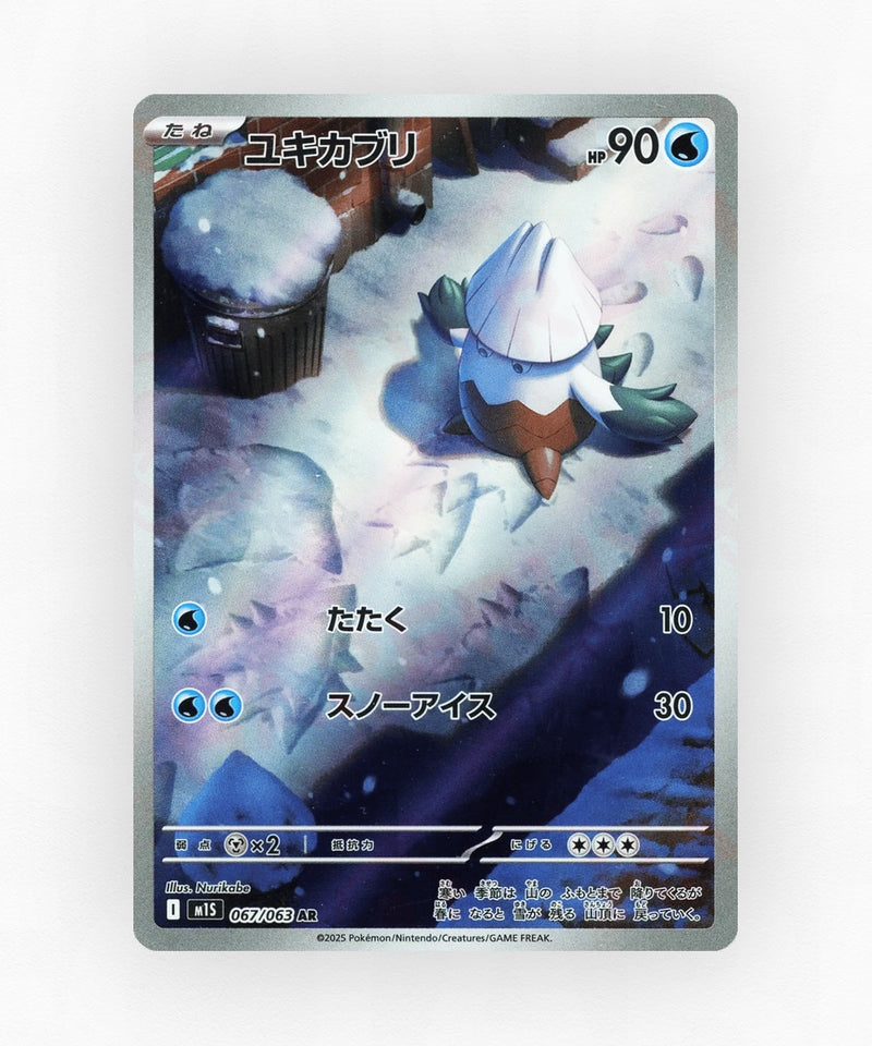 pk-m1s_ja-67-holo