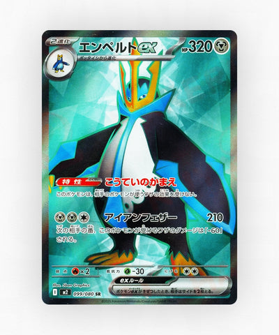 pk-m2_ja-99-holo