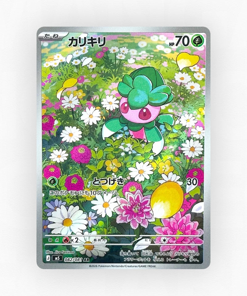 pk-m5_ja-82-holo