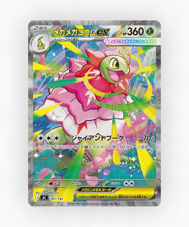 pk-mc_ja-761-holo