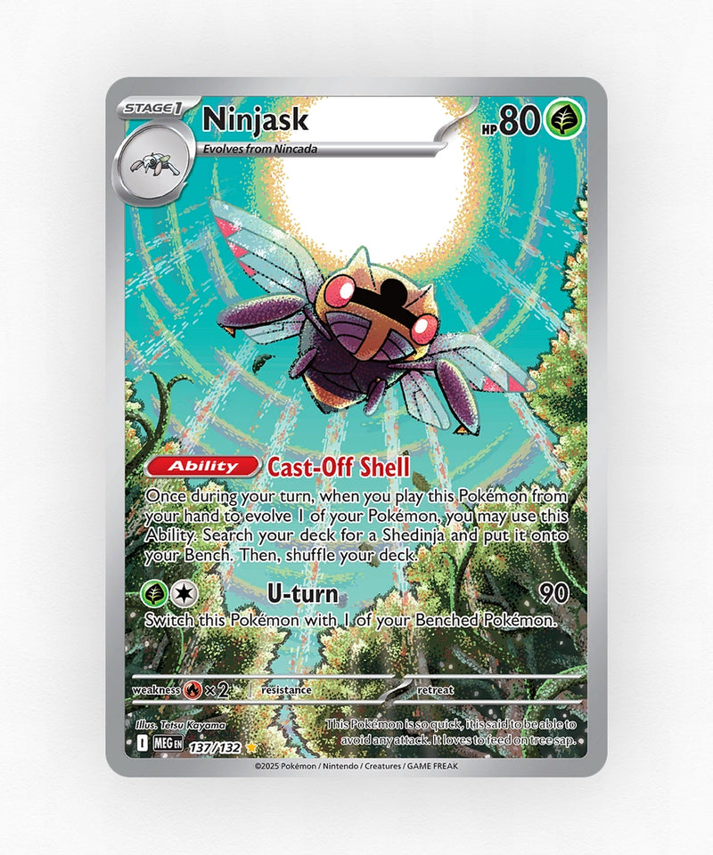 pk-me1-137-holo