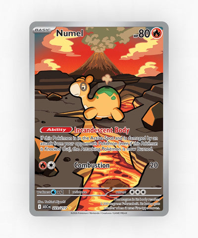 pk-me2pt5-223-holo