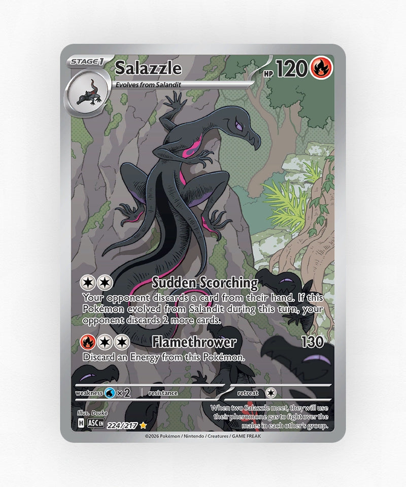 pk-me2pt5-224-holo