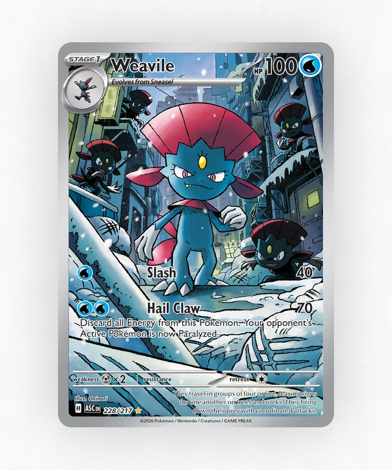 pk-me2pt5-228-holo