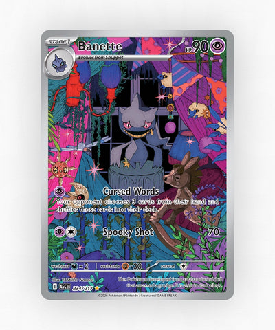 pk-me2pt5-234-holo