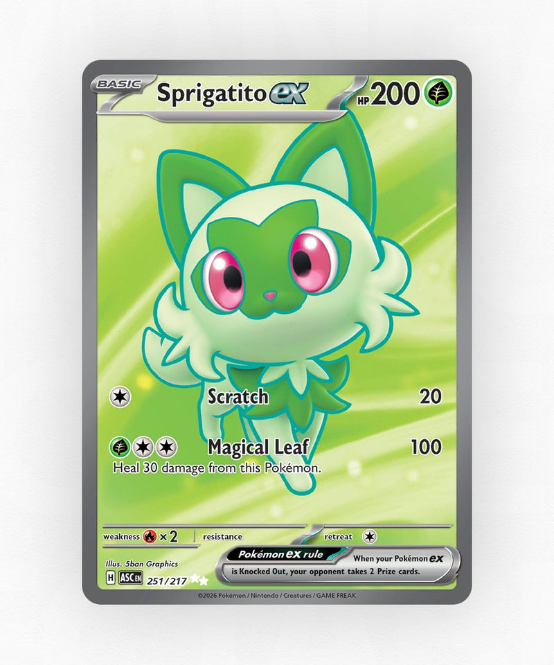 pk-me2pt5-251-holo