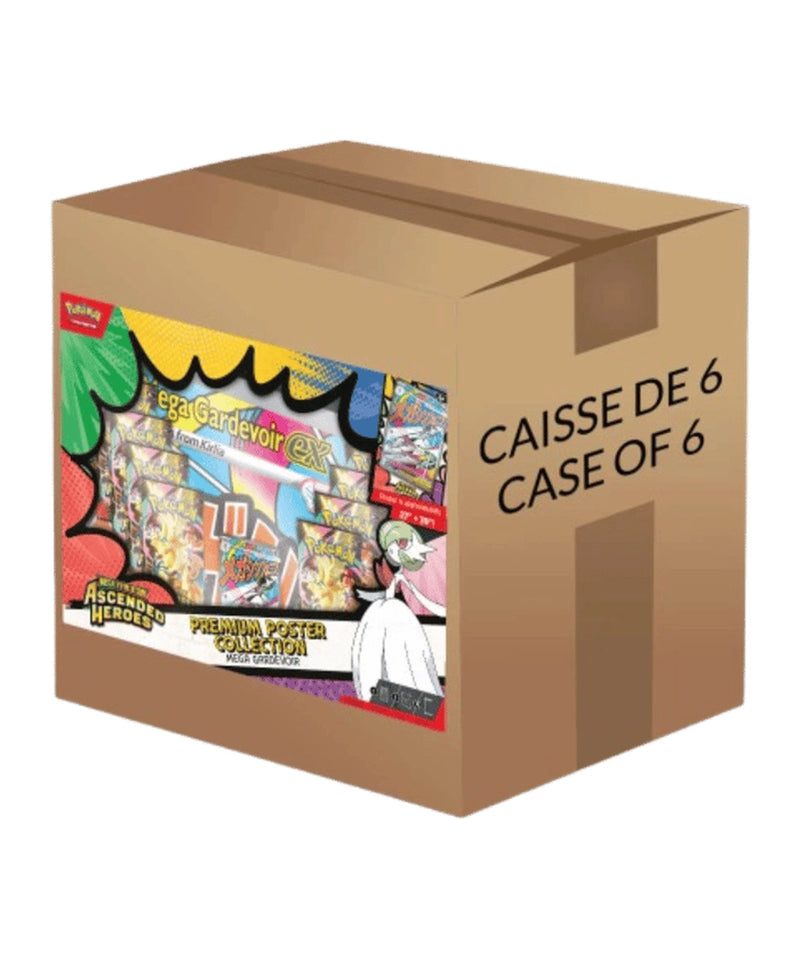 Ascended Heroes Premium Poster Collection Case