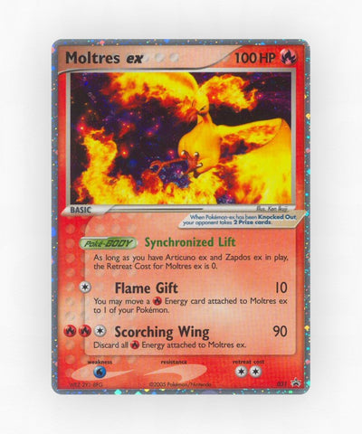 pk-np-31-holo