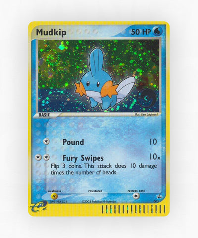 pk-np-5-holo